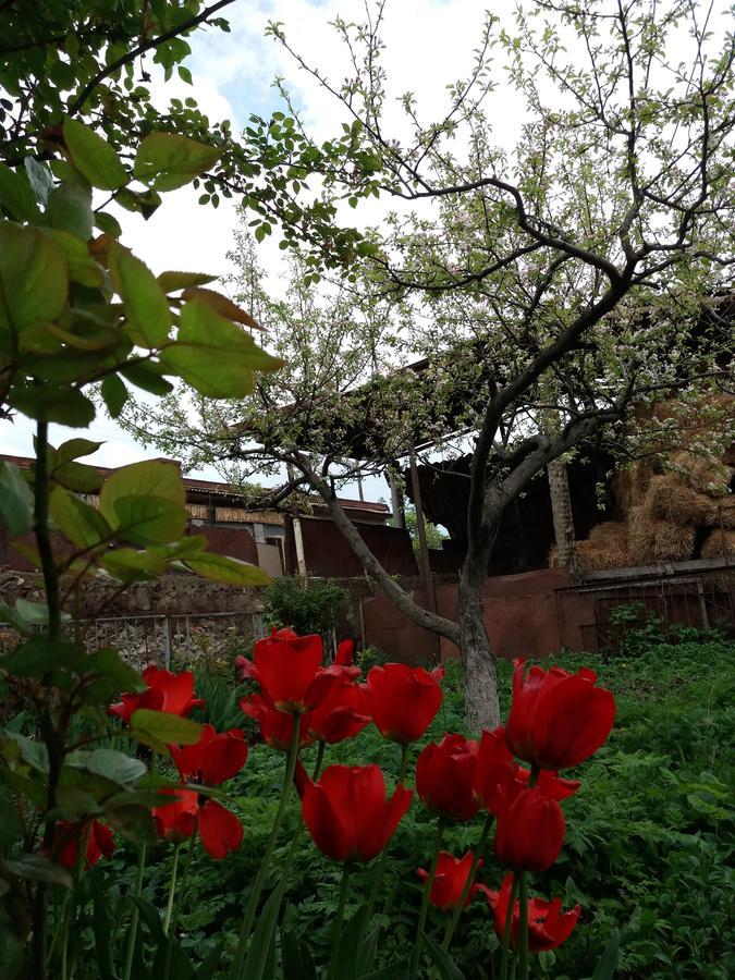 Aida Bed & Breakfast Tatev Dış mekan fotoğraf